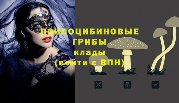 трава Елабуга