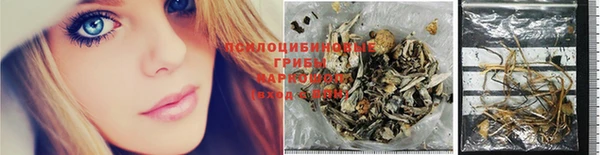 прущая мука Ельня