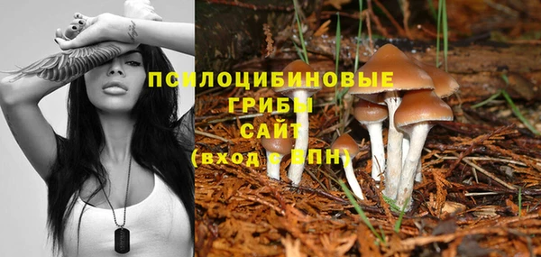 трава Елабуга