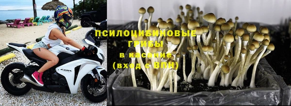 гидра Заволжье