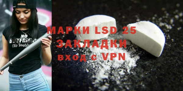 прущая мука Ельня