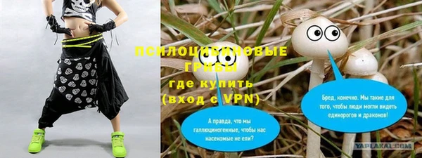 прущая мука Ельня