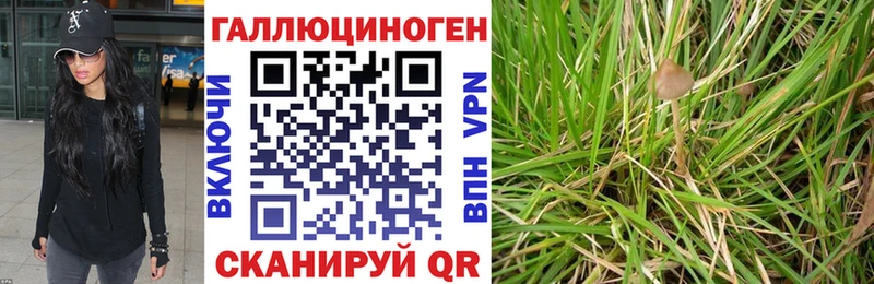 Псилоцибиновые грибы мицелий  Калачинск 
